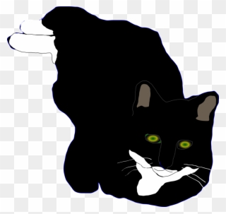 All Photo Png Clipart - Cat Transparent Png