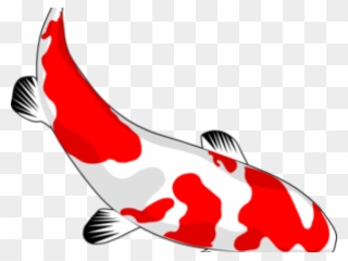 Koi Fish Clipart Devil - Japanese Koi Fish Clipart - Png Download