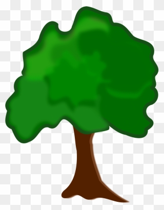 Icono Arbol Png Clipart