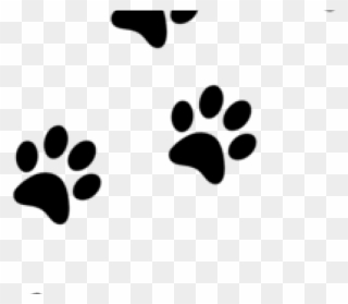 Cat Footprints Clipart Image Transparent Library Cat - Dog Paw Prints Transparent Background - Png Download