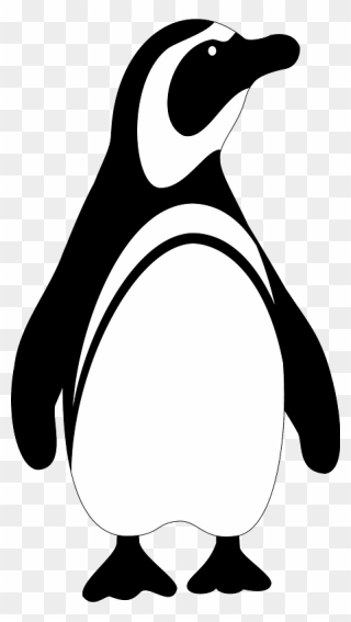 Black And White Penguin Clipart - Penguin Clipart Black And White - Png Download