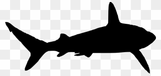 Great White Shark Silhouette Clip Art - Shark Silhouette Png Transparent Png