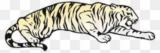 Lying Tiger Clipart - Tiger Pouncing Coloring Pages - Png Download