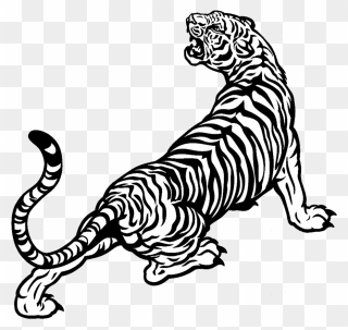Big Cat Clipart Indian Tiger - Black And White Tiger Drawing - Png Download