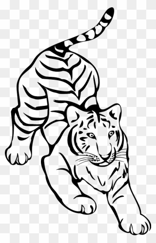 Crouching Tiger Clipart - Black And White Tiger Clipart - Png Download