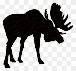 Moose Hunting Deer Clip Art - Moose Silhouette Transparent - Png Download
