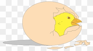 Animasi Telur Ayam Menetas Clipart