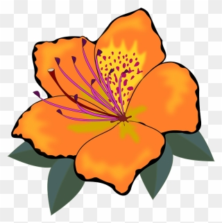 Transparent Plant Clip Art - Orange Flower Clipart - Png Download