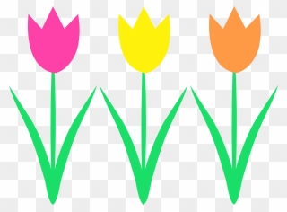 Spring Clip Art - Tulip Clipart - Png Download