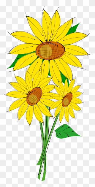Transparent Background Sun Flower Clip Art - Png Download