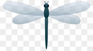 Dragonfly Clipart - Clipartion - Com - Clip Art Dragonfly Cartoon - Png Download
