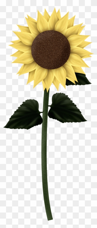 Rain Flowers Sun Clipart Clip Art Stock Sunflowers - Sunflower Gif Transparent Background - Png Download