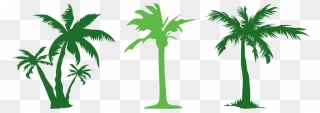 Tree Evergreen Arecaceae Clip Art - Green Coconut Tree Clipart - Png Download