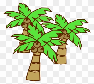 Coconut Tree Drawing Clipart