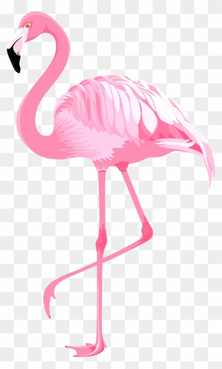 Pink Flamingo Png Clipart - Flamingo Clipart Transparent Png