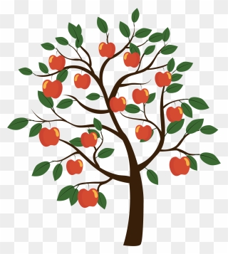 Fruit Tree Euclidean Vector - Diagram Of Apple Tree Clipart