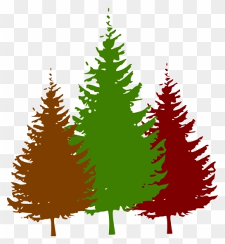 Transparent Deforestation Clipart - Pine Tree Silhouette - Png Download