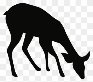 Noun Deer 671375 - Silhouette Deer Clip Art - Png Download