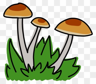 Psychedelics On Track To Be Decriminalized In Santa - Agaricaceae Clipart