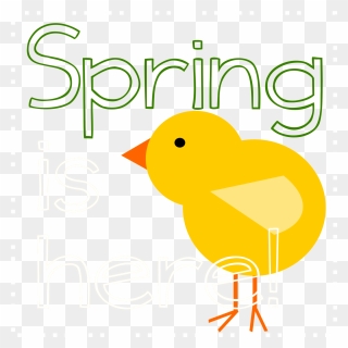 Duck Clipart