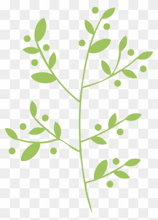 Leaf Herb Vector Png Clipart