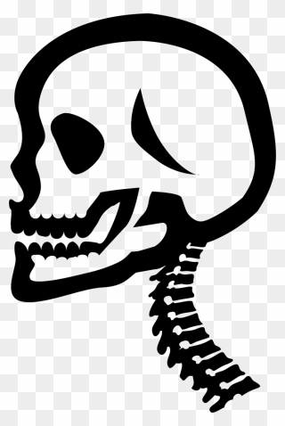 Head And Neck - Neck Skull Black And White Icon Clipart