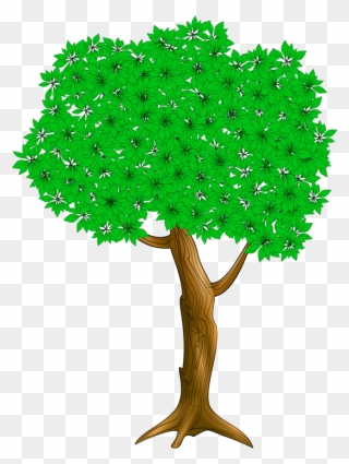 Plant,leaf,flowerpot - I Had A Little Nut Tree Clipart