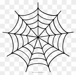 Spider Web Clipart Black And White - Png Download