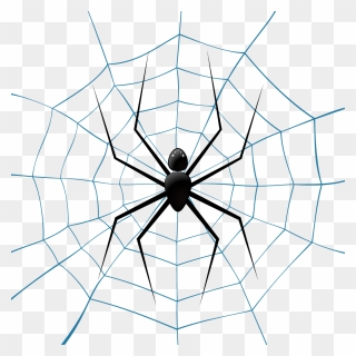 Spider Web Theridiidae Euclidean Vector Illustration - Vector Fondo Vector Telaraña Spiderman Clipart