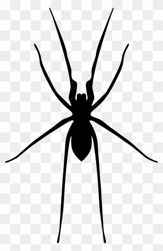 Spider Web Widow Spiders - Widow Spider Clipart