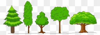 Crown Shapes Of Trees Clipart