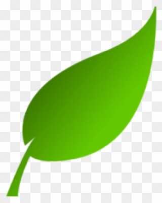 Green Leaf Clip Art - Png Download