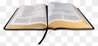 Ivy Clipart Open Bible - Bible Png Transparent Png