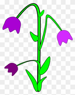 Line Art,plant,flora - Purple Cartoon Flowers Png Clipart