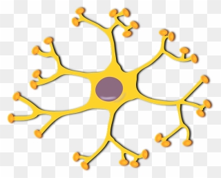 Brain Cells Clipart - Png Download