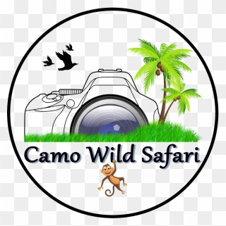 Camo Wild Safari Clipart