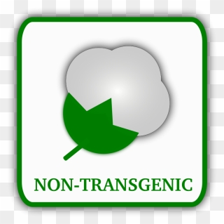 Biology Clip Art Download - Non Transgenic - Png Download