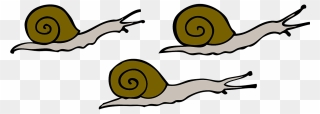 Transparent Slime Clipart - Snails Clip Art - Png Download