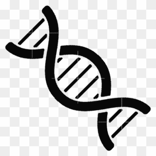 Genetics Black And White Clipart