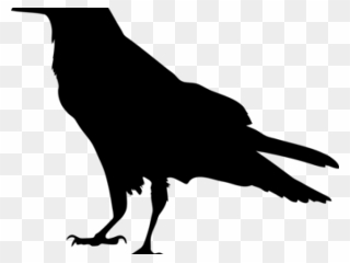 Mockingbird Clipart Halloween Raven Raven Silhouette - Raven Clipart - Png Download
