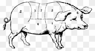 Hog Clipart Black And White - Png Download