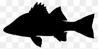 Perch Fish Silhouette Clipart