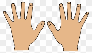 Transparent Hand Hygiene Clipart - Left And Right Hand Clipart - Png Download