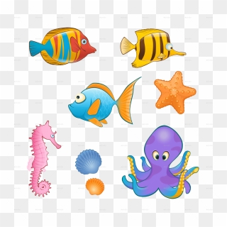 Transparent Background Sea Animals Clipart Png
