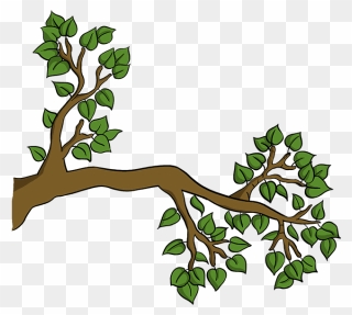 How To Draw Tree Branch Clipart