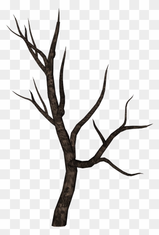 Stick Clipart Bare Branch - Spooky Tree Branch Png Transparent Png