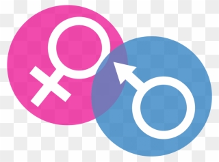 Transparent Gender Clip Art - Gender And Development Png