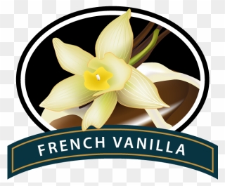 French Vanilla Clip Art - Png Download
