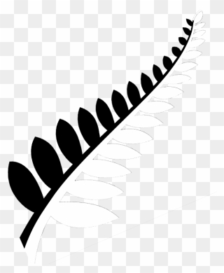 Drawn Fern New Zealand Fern - New Zealand Leaf Png Clipart