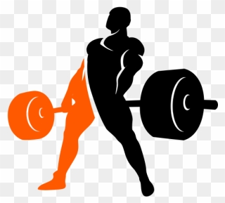 Powerlifting Deadlift Weight Training Bench Press Olympic - Powerlifting Png Clipart